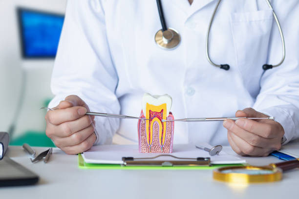 Best Emergency Dental Care for Broken or Chipped Teeth in Torrington, CT